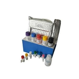 irisin elisa kit